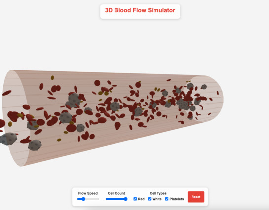 3D Blood Flow Simulator